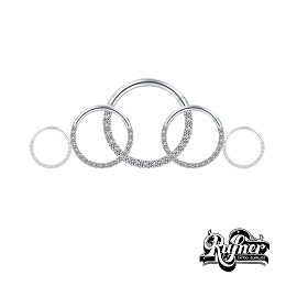 ARO SEGMENTADO CON BRILLO (PLANO)